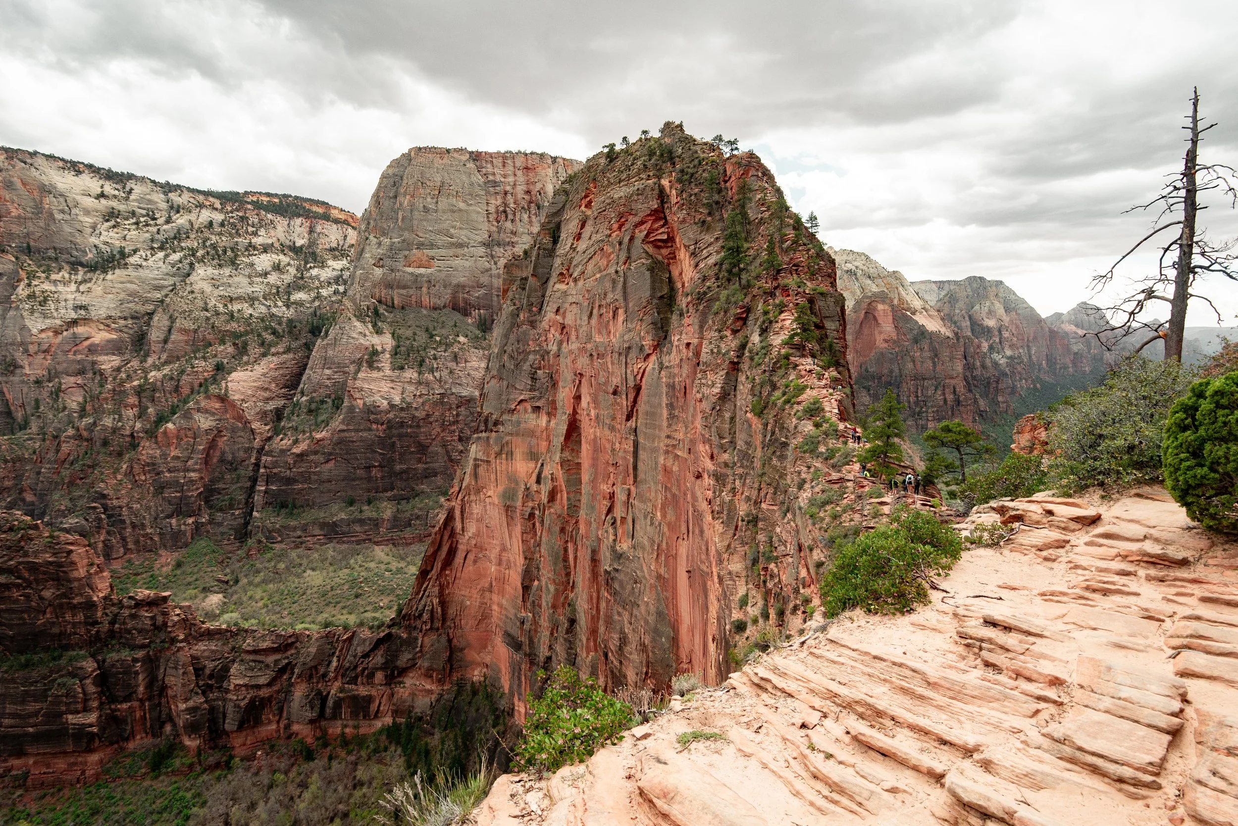 Olympus M.Zuiko 9-18mm f4-5.6 Long Term Review — Micro Four Nerds
